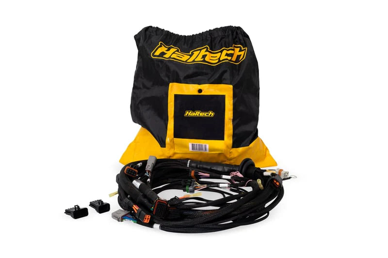 Haltech - Nexus Rebel LS Terminated Harness for Nexus Rebel LS ECU | HT-186500