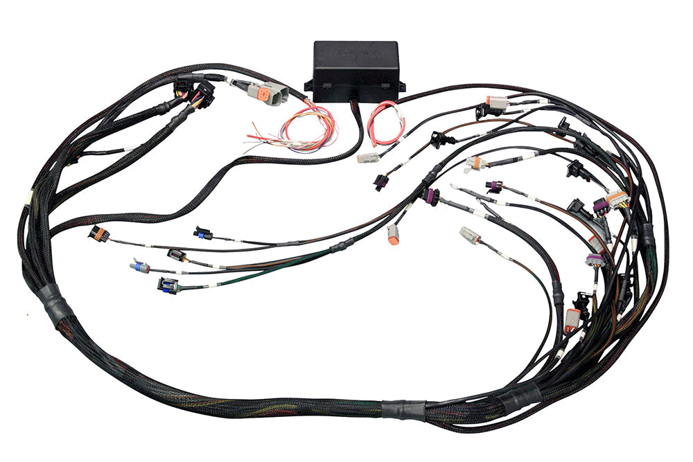 Elite 2000/2500 GM GEN III LS1 & LS6 non DBW Terminated Harness HT-141360