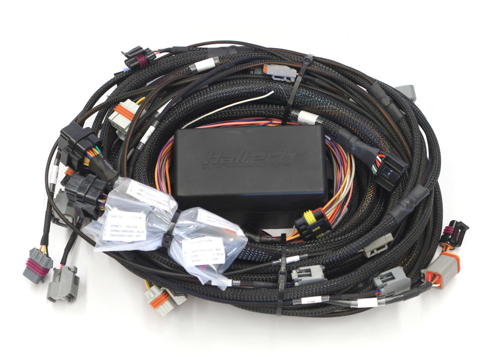 Elite 2500 GM GEN III LS1 & LS6 (DBW Retrofit Ready) Terminated Harness HT-141362